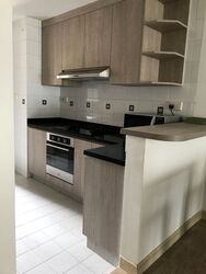 Tiara (D9), Condominium #491432421